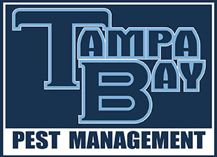 Tampa Bay Pest Control